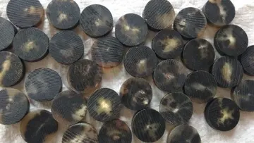 Horn Button Blanks Color 11, item 156