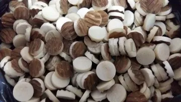Stage Design Bone Button Blanks, item 166