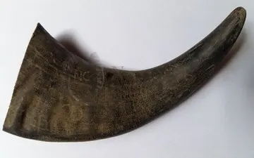 Buffalo Horn Pet Chews Big Size, item 175