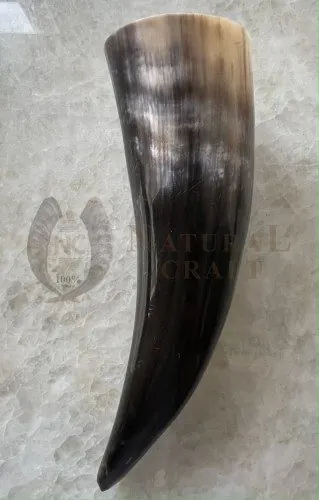 Drinking Horn DH-1, item 203